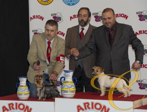 Balentina de Coramonte