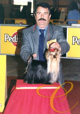 Mult. Ch. Jasper I de Coramonte,