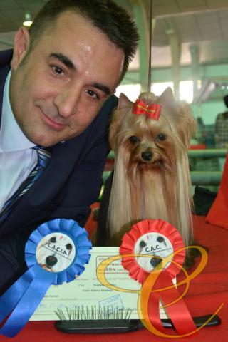 Ch. Vanesa de Coramonte CAC y CACIB Internacional de Leon 2015