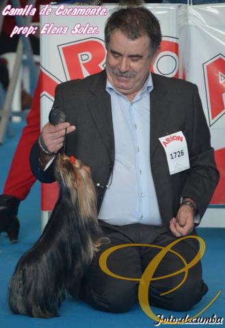 Camila de Coramonte. con su criador: Jesús Montero. 