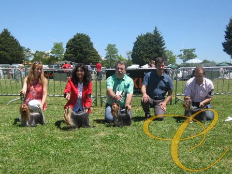 Gaston de Coramonte. Medina de Pomar Exte. 1º Mejor Joven