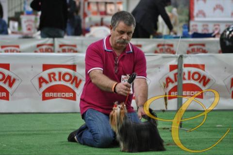 Magnifico macho, muy prometedor, precioso caracter.