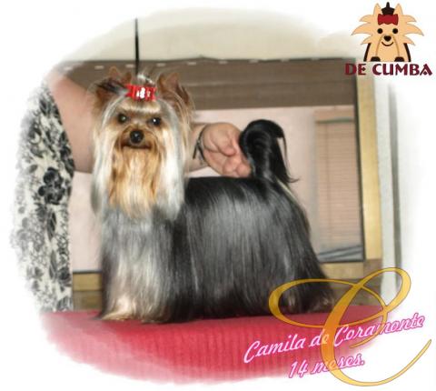 Camila de Coramonte. con 15 meses