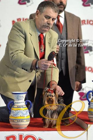 Balentina de Coramonte