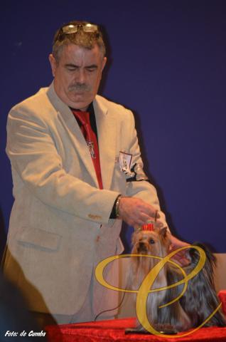 Balentina de Coramonte