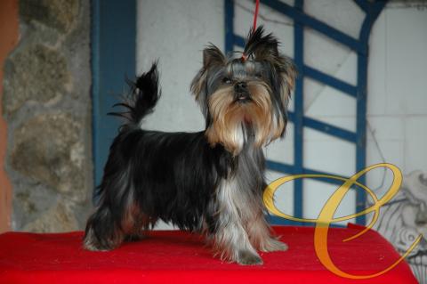 Sofia de coramonte, 5 meses