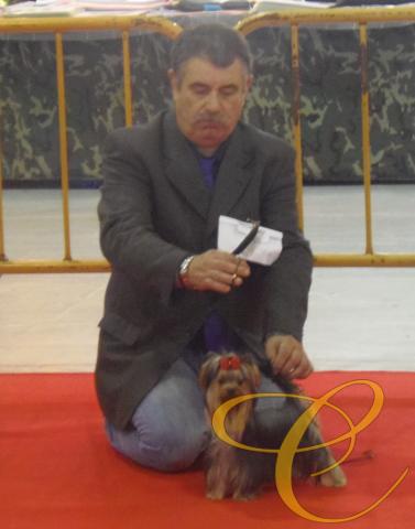 Balentina de Coramonte