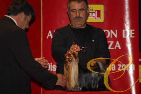 Mult. Ch. Tiffany de Coramonte